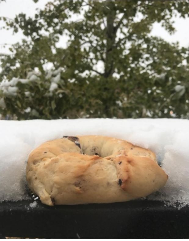 Park City Bread & Bagel Gallery